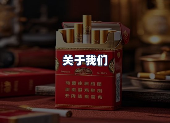 关于我们